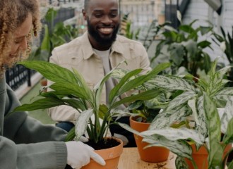 A man and woman potting plants
